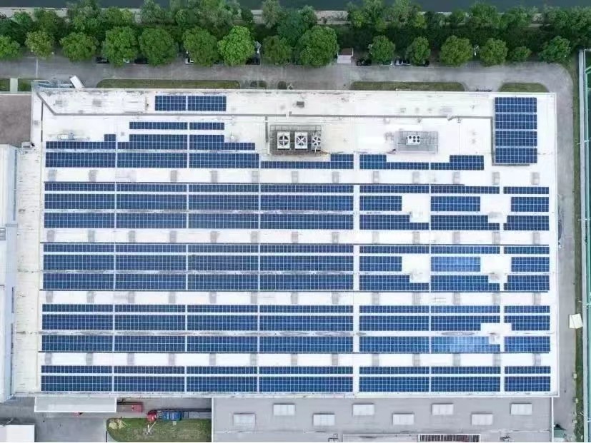 1695369324539812.jpg